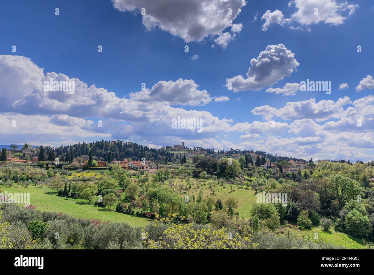Typische toskanische Hügellandschaft mit Zypressen und Olivenbäumen in Florenz, Italien. Stockfoto