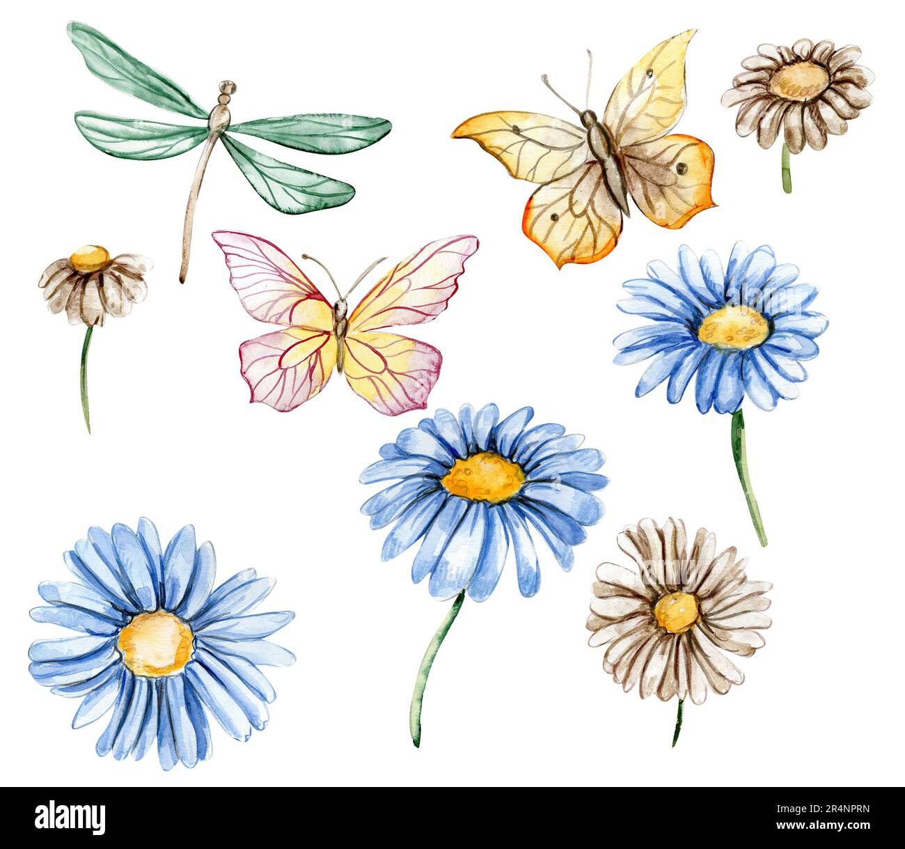 Blau-weiße Kamillenblumen mit Schmetterlingen. Für Kinderzimmer, Babyparty, Einladung zur Geburtstagsparty. Aquarelldarstellung für die Begrüßung c Stockfoto