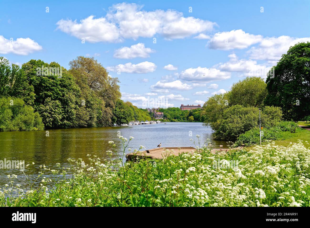 The Riverside at Twickenham an einem heißen Sommertag Greater London England UK Stockfoto