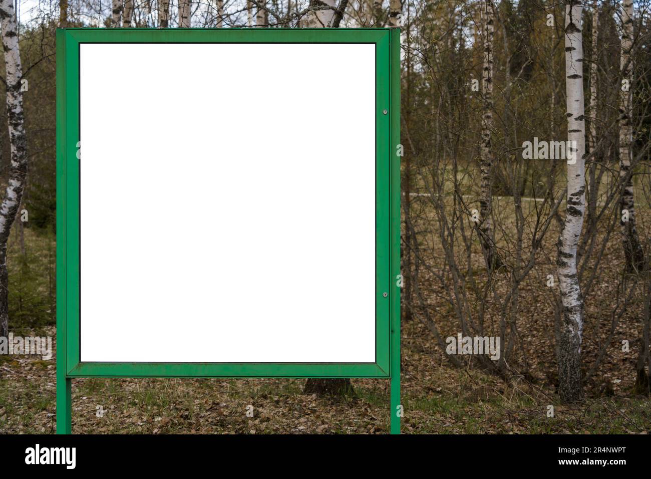 Leeres weißes Plakat mit grünem Rahmen und Natur im Hintergrund. Stockfoto