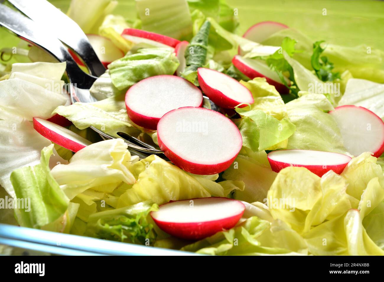 Frischer grüner Salat mit Radieschen. Stockfoto