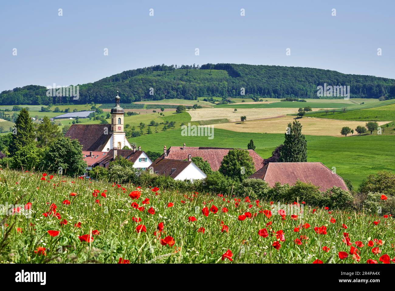 Olsberg Abbey ist ein ehemaliges Zisterzienserkloster in der Gemeinde Olsberg, im Schweizer Kanton Aargau, nahe der Grenze zum Kanton Basel Stockfoto