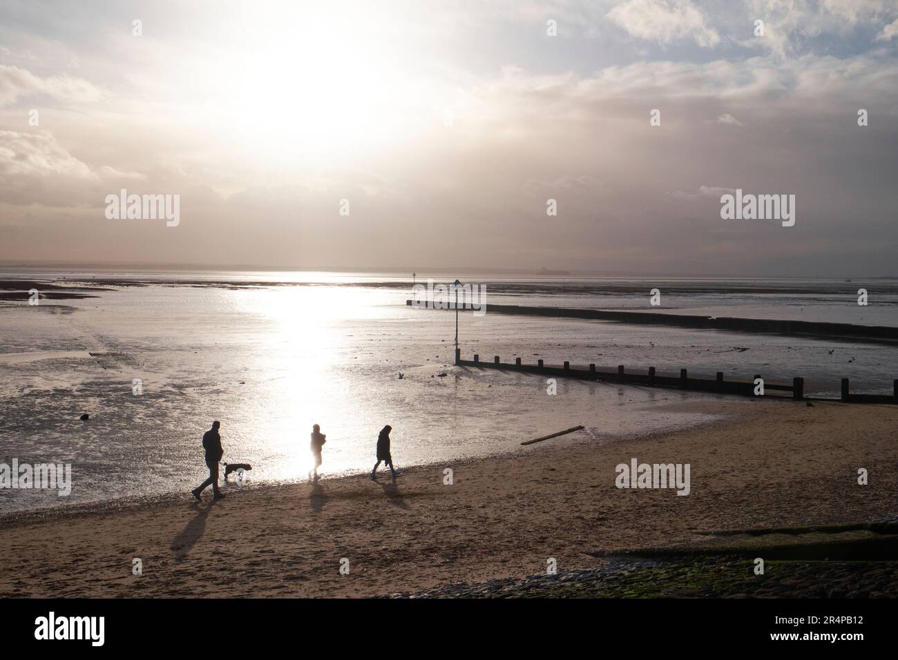 Hundefreunde am Southend Beach, Essex, Großbritannien Stockfoto