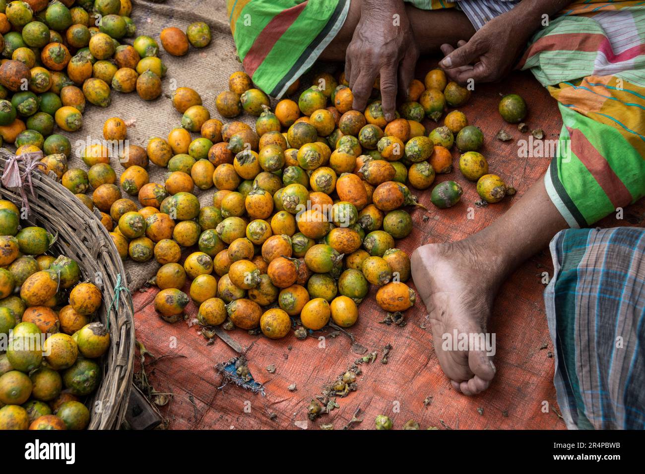 Areca-Nussfrüchte zum Verkauf auf einem Markt in der Altstadt von Dhaka, Bangladesch Stockfoto