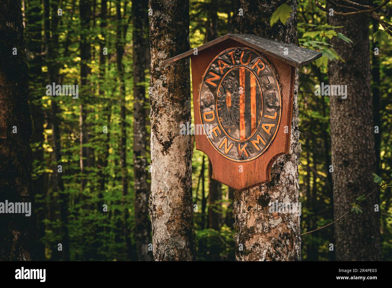 Blick auf das bronzefarbene „Natur-Denkmal“-Abzeichen der Oberösterreichischen Provinz in Oberösterreich, OÖ, Österreich Stockfoto