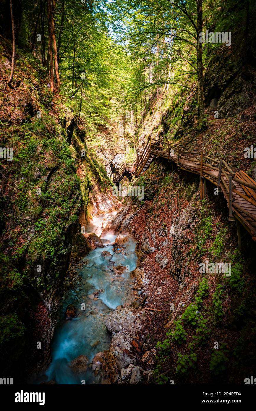 Blick auf die raue Wildnis des Dr. Vogelgesang-Klamm in Spital am Pyhrn, Österreich, einer schmalen Schlucht mit wildem Wildwasserbach, der die Felsen hinunterstürzt Stockfoto