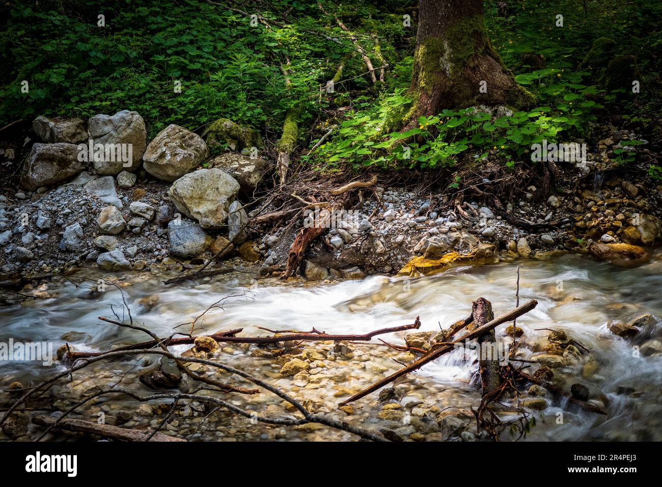 Blick auf einen Fluss, der bergab durch die zerklüftete Wildnis der malerischen Dr. Vogelgesang-Klamm-Schlucht in Spital am Pyhrn, Österreich, fällt Stockfoto