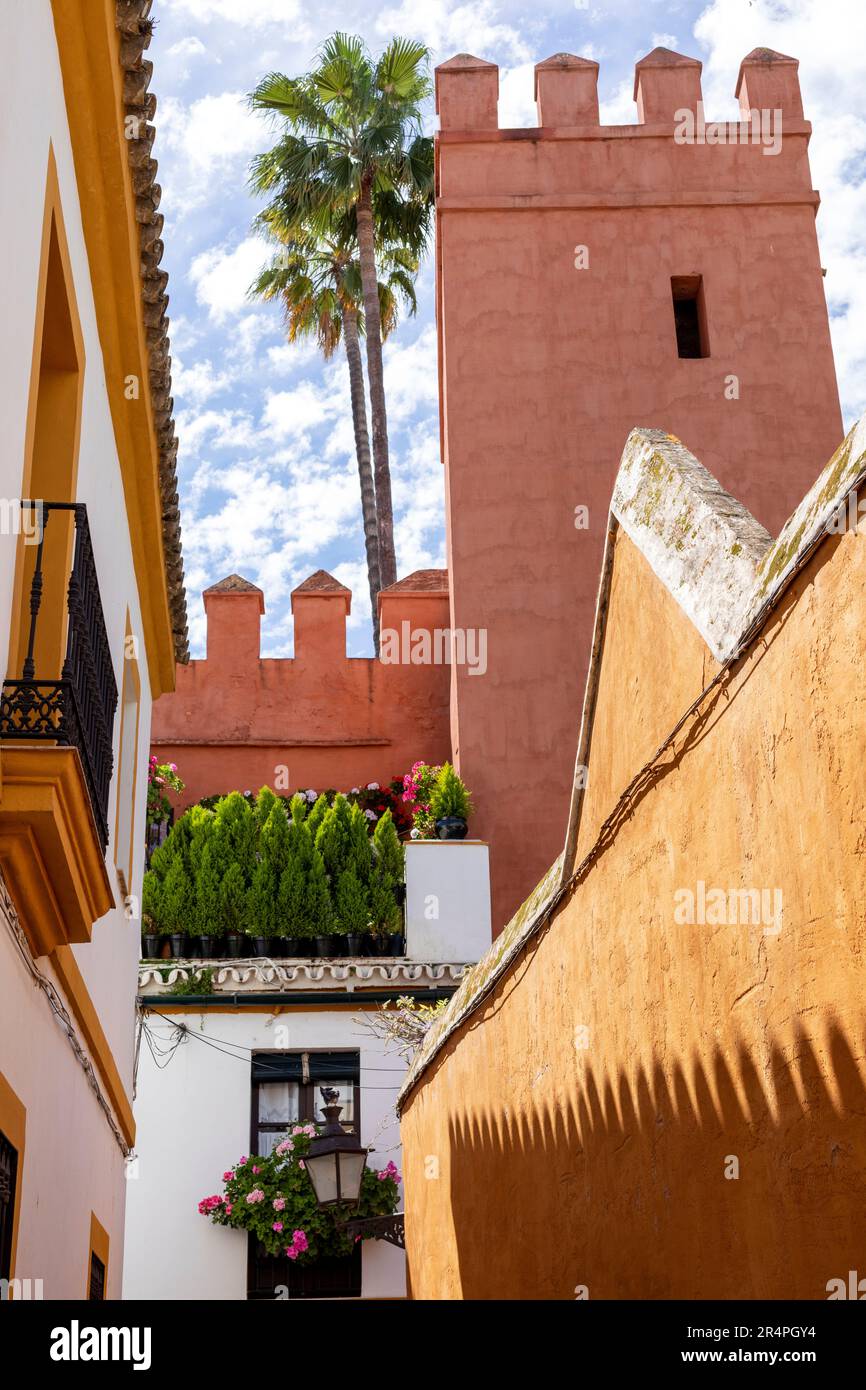 Spanien, Sevilla, Andalusien, Straßenszene mit kontrastierenden Architekturstilen, Festungsturm, Stuck und Putz Stockfoto