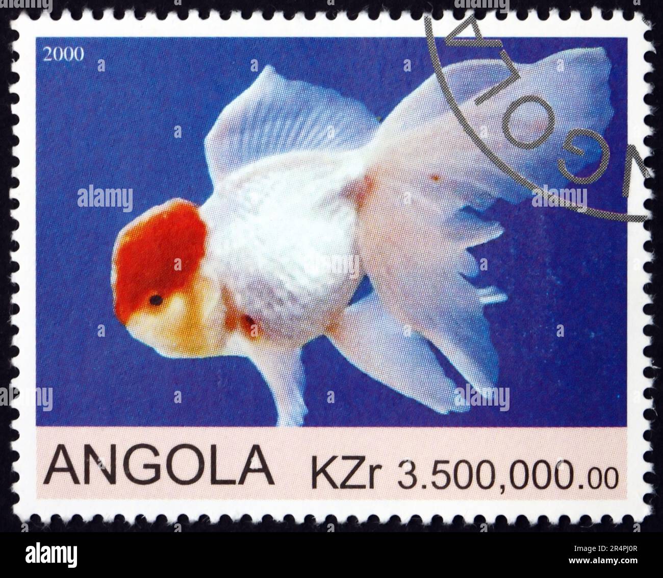 ANGOLA - CIRCA 2000: Ein in Angola gedruckter Stempel zeigt Goldfische, ca. 2000 Jahre alt Stockfoto