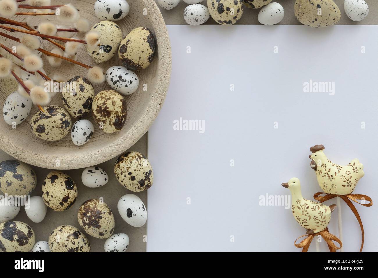 Haufen Kätzchen, Holzhühner und Wachteleier auf Papier Hintergrund, kopieren Raum. Stockfoto