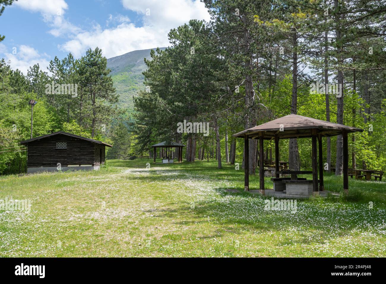 Picknick-Bereich im Wald im Sibillini-Nationalpark in den Apenninen, Mittelitalien, Europa Stockfoto