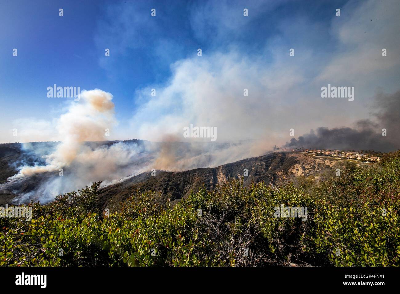Durch Wind und trockene, entzündbare Pflanzen breitet sich ein Bürstenfeuer einen Hügel hinauf, um eine geplante Luxusgemeinde in Laguna Niguel, Kalifornien, zu bedrohen. Stockfoto