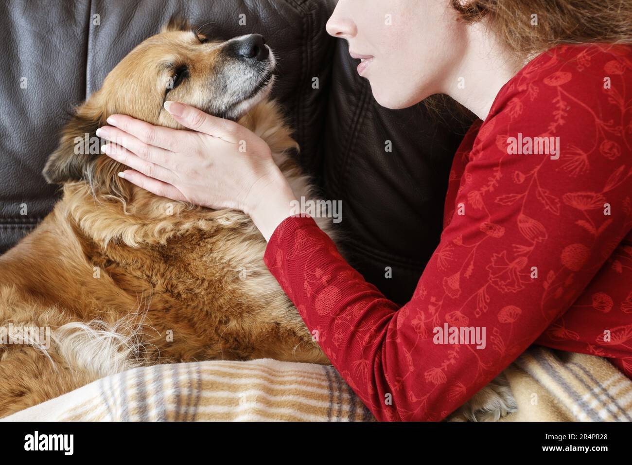 Junge Frau sitzt auf dem Sofa mit ihrem niedlichen Hund. Freunde für immer. Stockfoto