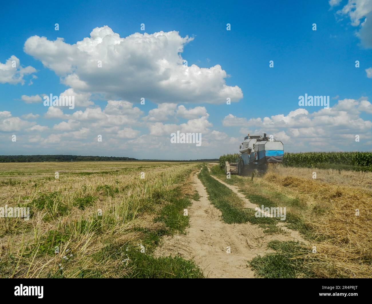 petőmihályfa, ungarn - 09. juli 2018 Erntezeit in ungarn, kombiniert das Feld, um den Weizen zu sammeln. Stockfoto