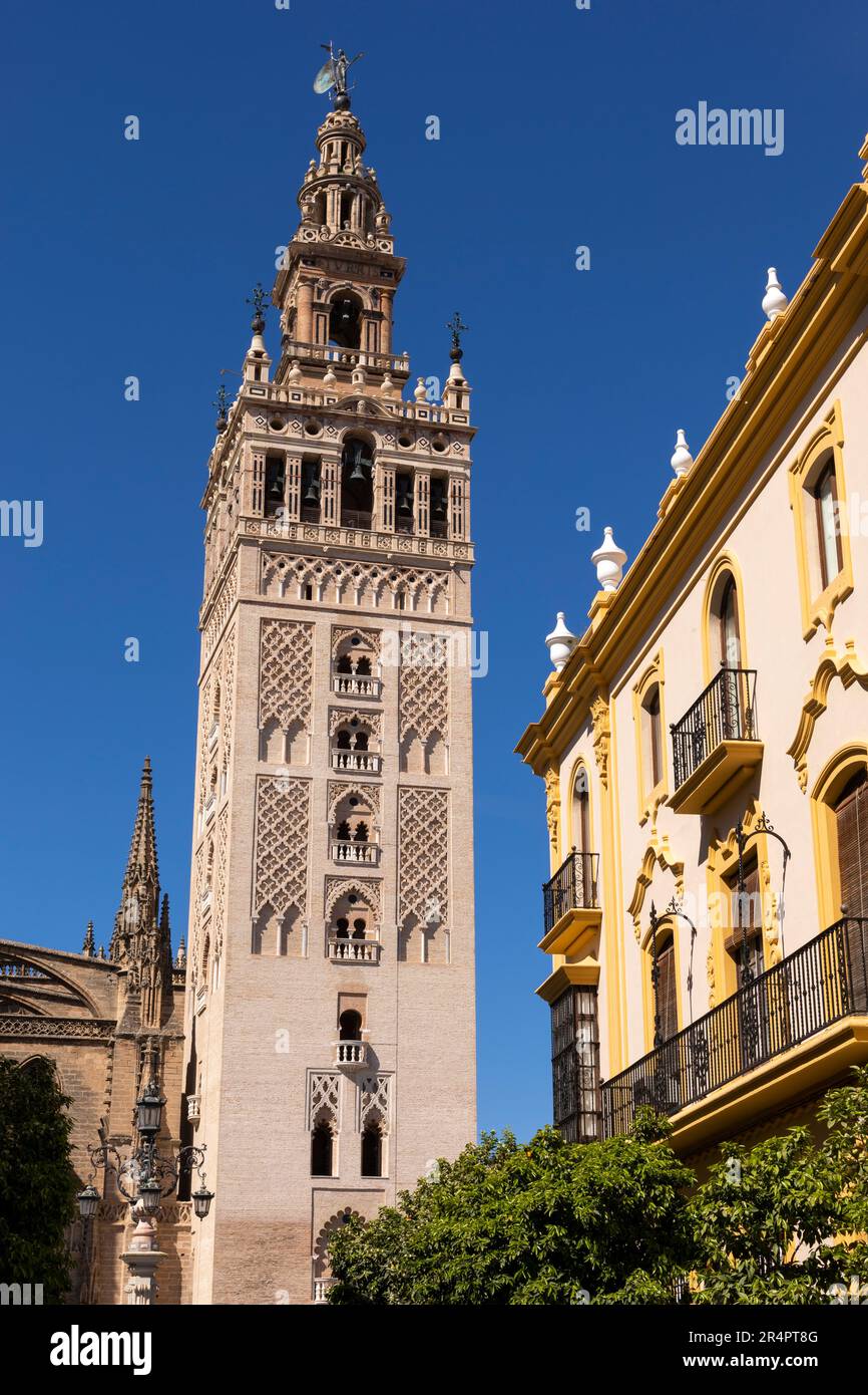 Spanien, Sevilla, die Kathedrale von Sevilla, die Kathedrale der Heiligen Maria vom See, die im 16. Jahrhundert fertiggestellt wurde und eine der größten Kirchen der Welt ist. vert Stockfoto