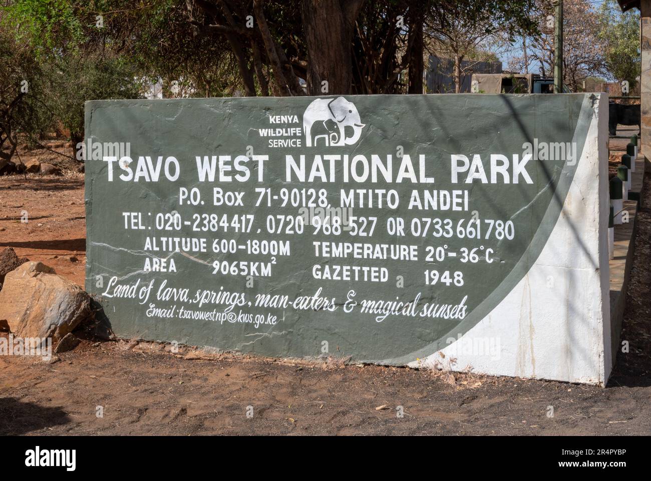 Tsavo West-Nationalpark. Kenia, Afrika. Stockfoto