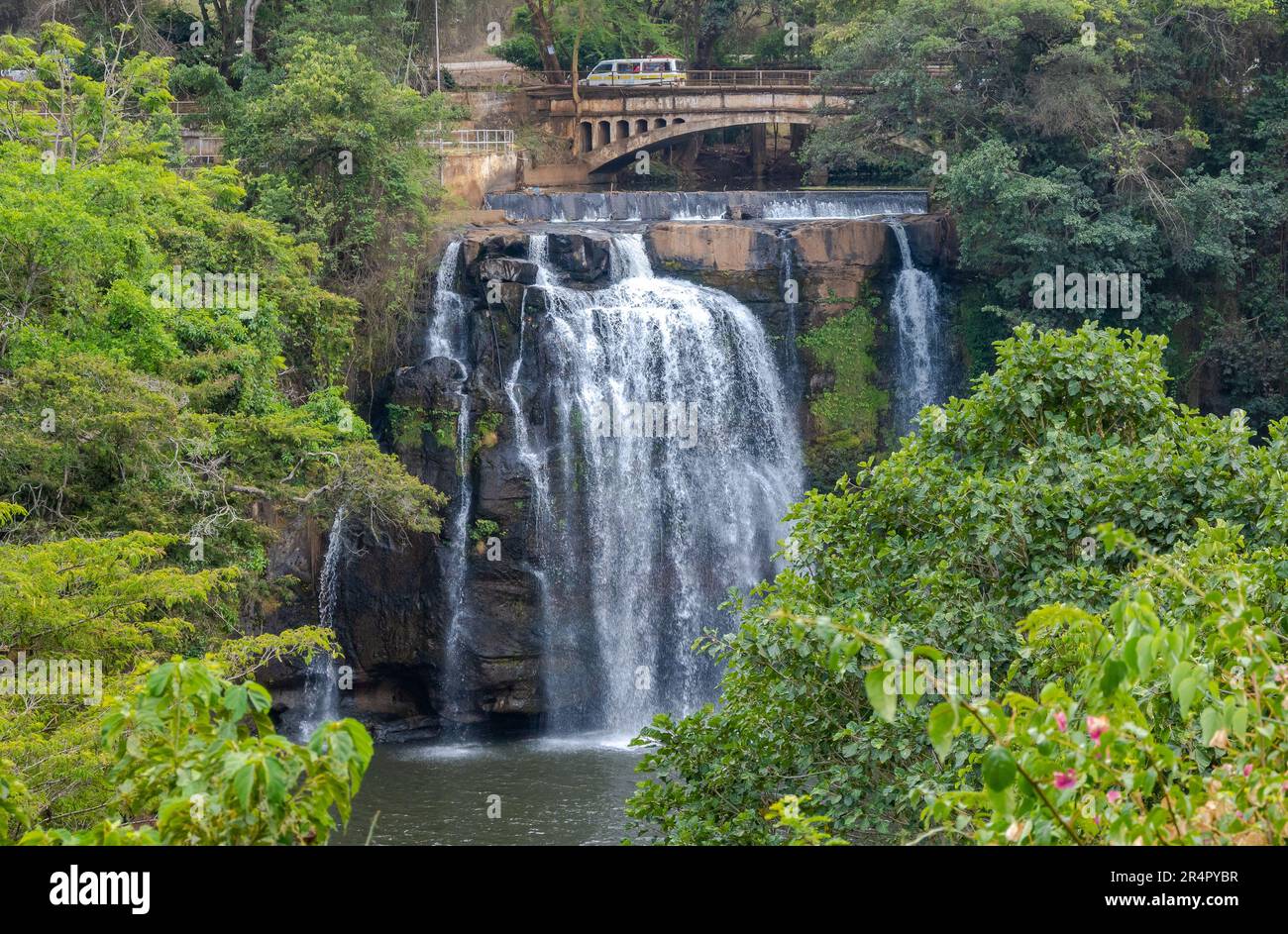 Ein Wasserfall, umgeben von üppigem Wald. Kenia, Afrika. Stockfoto