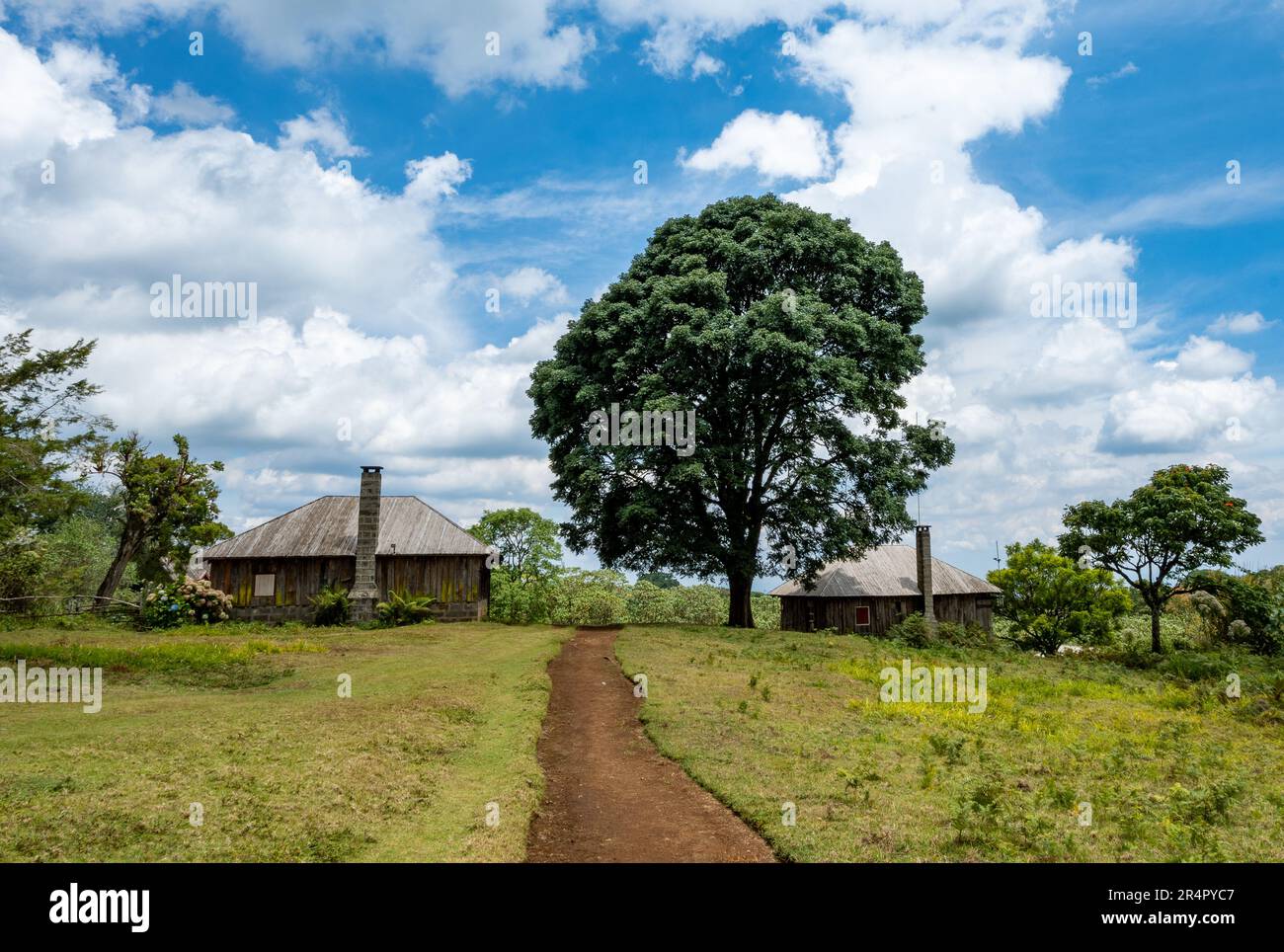 Gästehäuser und Hütten im Mount Kenya Nationalpark, Kenia, Afrika. Stockfoto