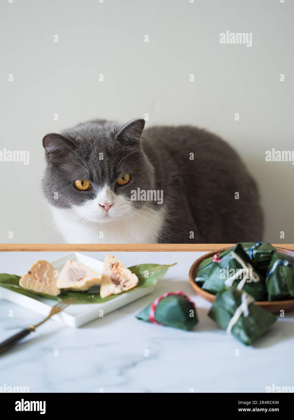 Britische Kurzhaarkatze und Reisklöße auf dem Tisch Stockfoto