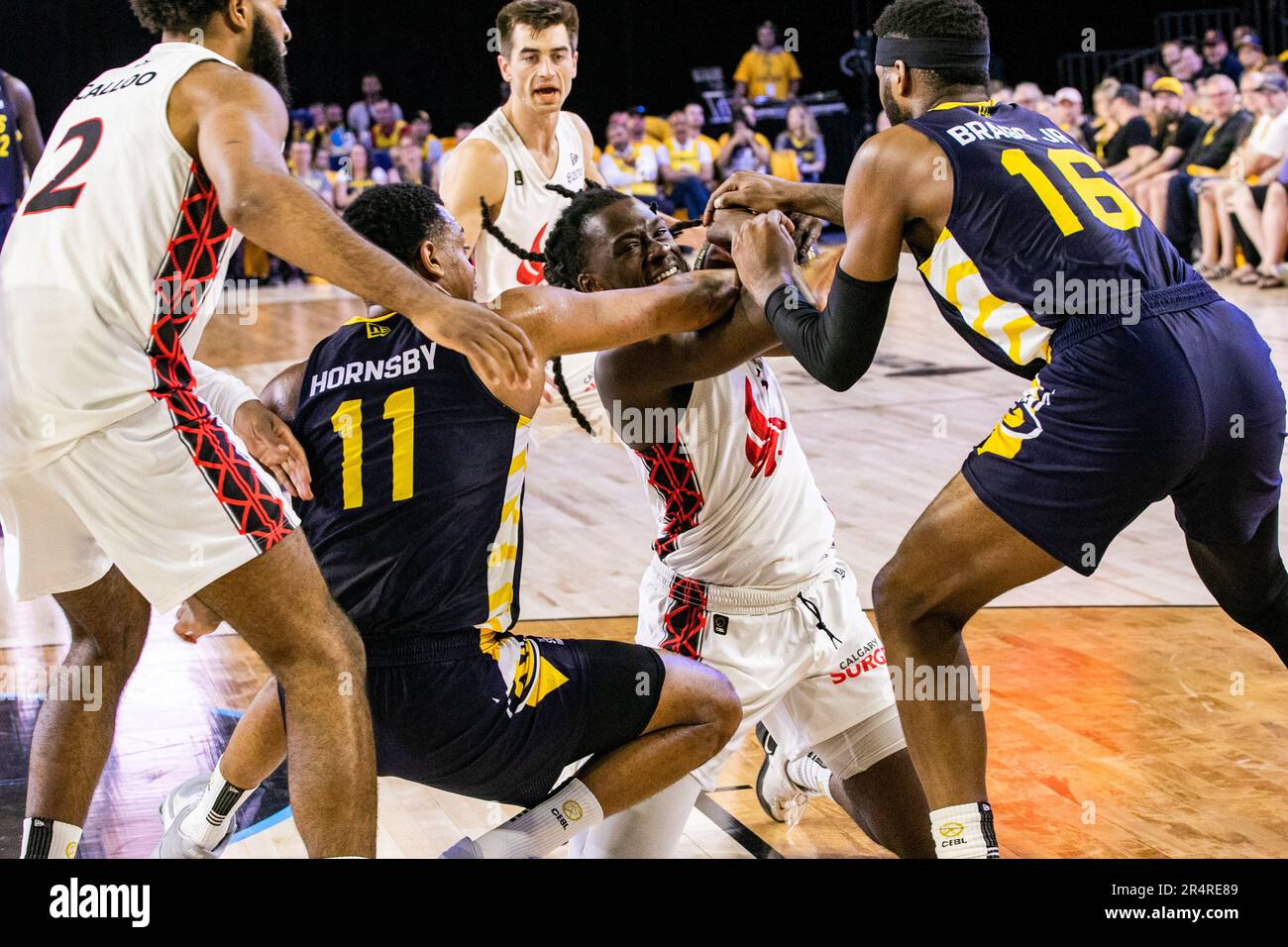 Edmonton, Kanada. 28. Mai 2023. Edmontons (11) Nick Hornsby und (16) Carlton Bragg Jr kämpfen um den Ball gegen Calgary's (3) Stefan Smith während der Eröffnungssaison von Edmonton Stingers 2023 gegen den Calgary Surge. Calgary Surge 82 -81 Edmonton Stingers Credit: SOPA Images Limited/Alamy Live News Stockfoto