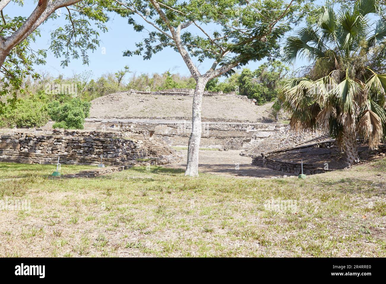 Die majestätischen Ruinen von El Tajin in Veracruz sind einige der kunstvollsten und einzigartigsten mesoamerikanischen Ruinen in Mexiko Stockfoto