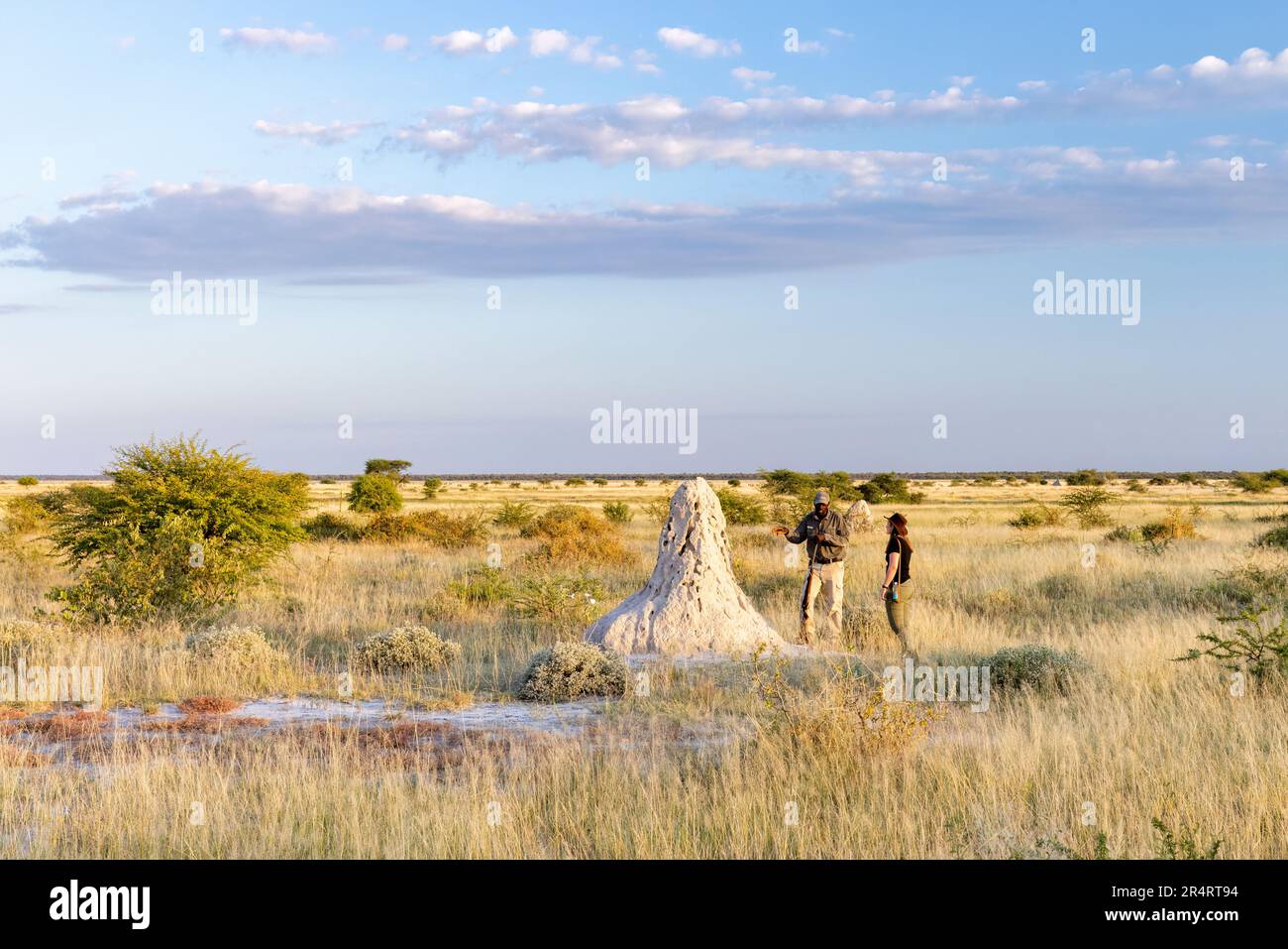 Informativer Bush Walk im Onguma Game Reserve, Namibia, Afrika Stockfoto