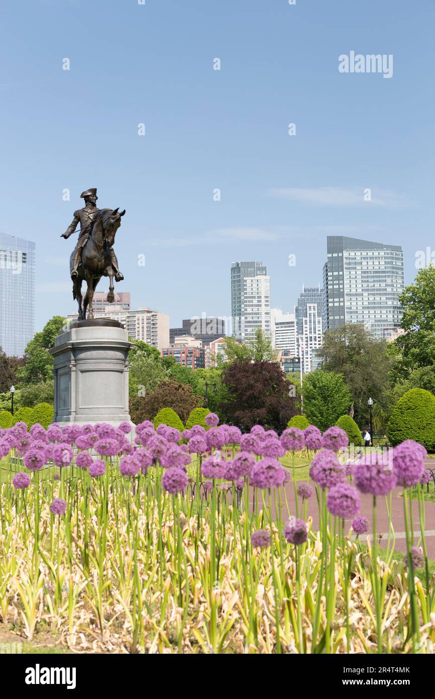 USA, Massachusetts, Boston, George Washington Statue im Boston Common Park mit violetten Blumen. Stockfoto