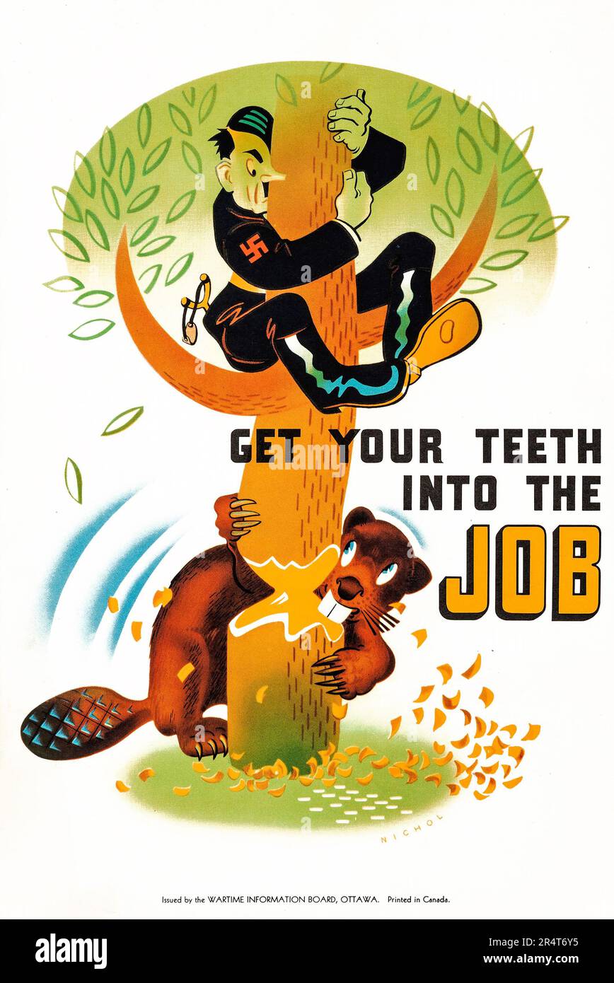 Kanadische Propaganda aus dem Zweiten Weltkrieg (Wartime Information Board, c. 1941) kanadisches Poster - „Get Your Tooth in the Job“ Robert Nichol Artwork Meisterleistung Hitler und ein Biber Stockfoto