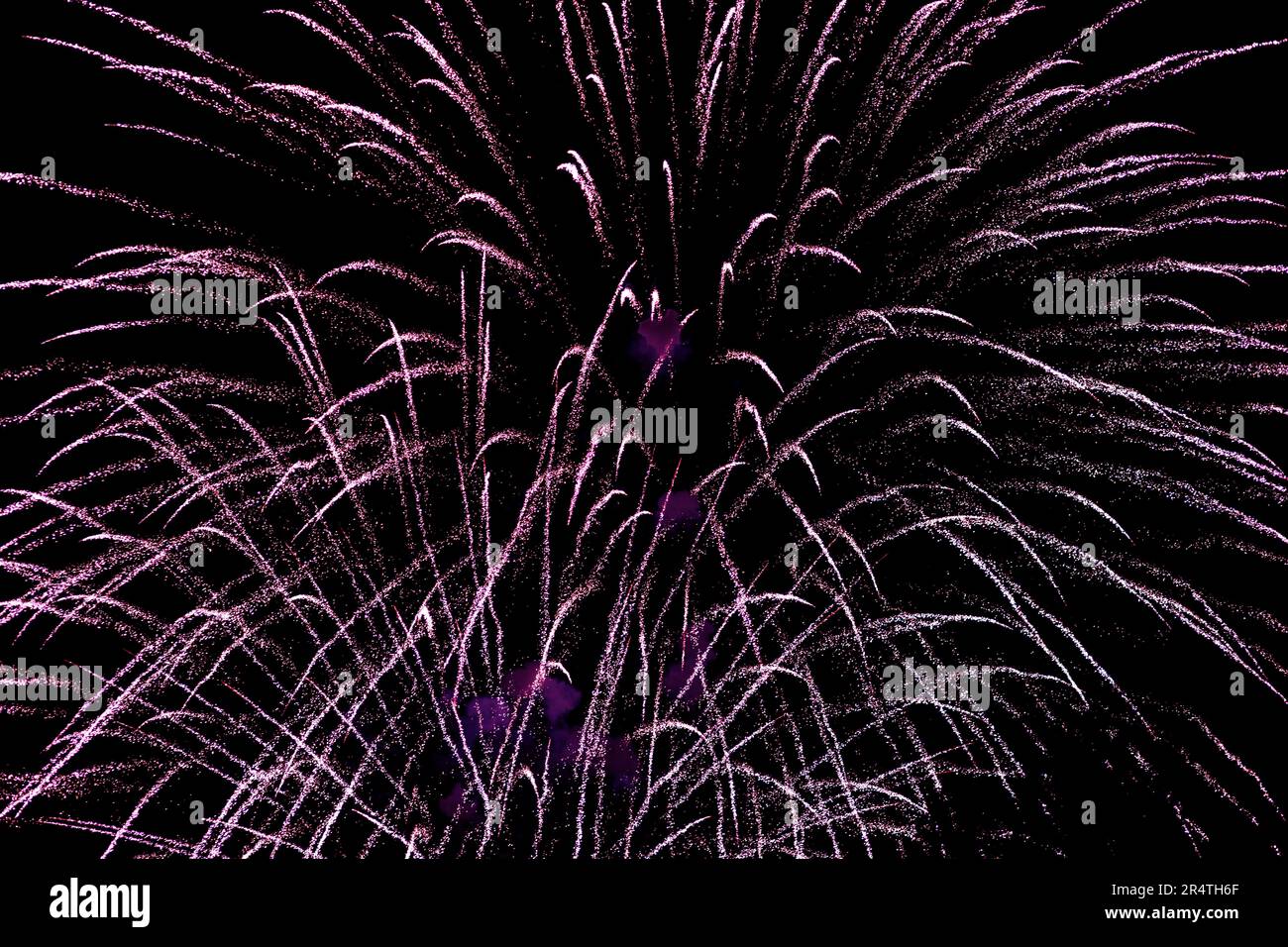 Feuerwerk am Nachthimmel. Abstrakter festlicher Hintergrund Stockfoto