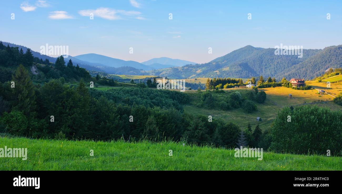 Frischer Morgen und Ruhe der ländlichen Landschaft in den Bergen. Landschaft mit bewaldeten sanften Hügeln und Wiesen. Unter einer blauen Summe Stockfoto