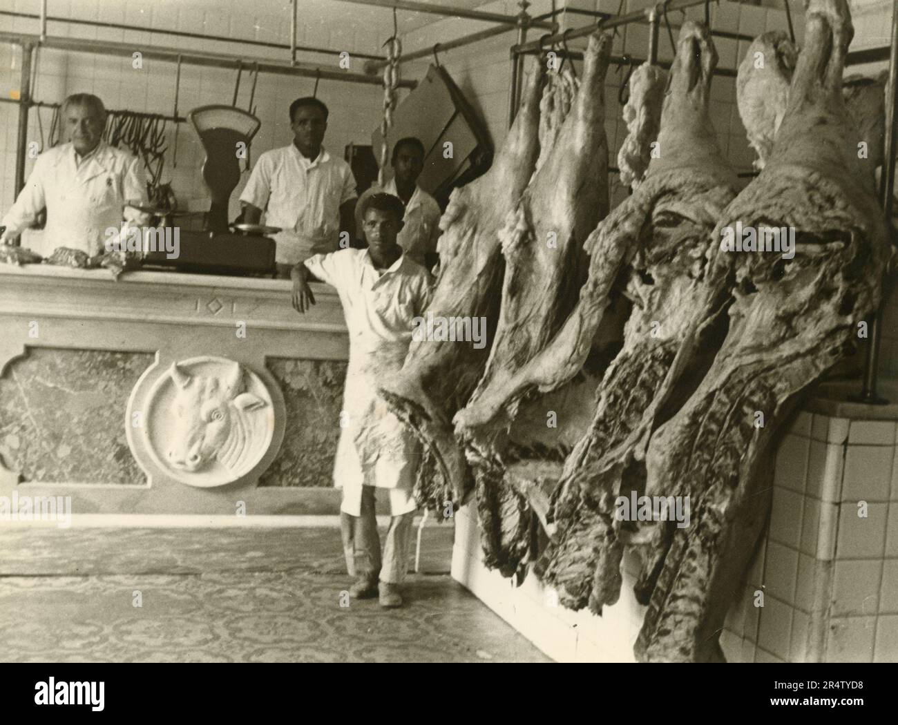 Rindfleisch-Quartiere hängen in der Metzgerei, Italien 1960er Stockfoto