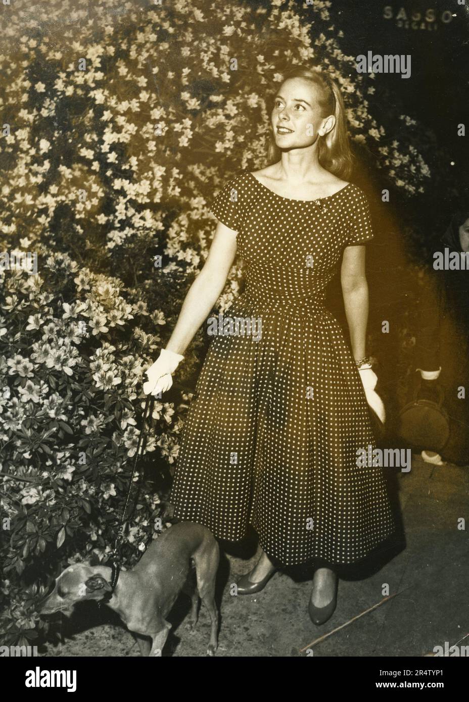 Französische Schauspielerin Genevieve Page führt ihren Hund, Italien 1955 Stockfoto