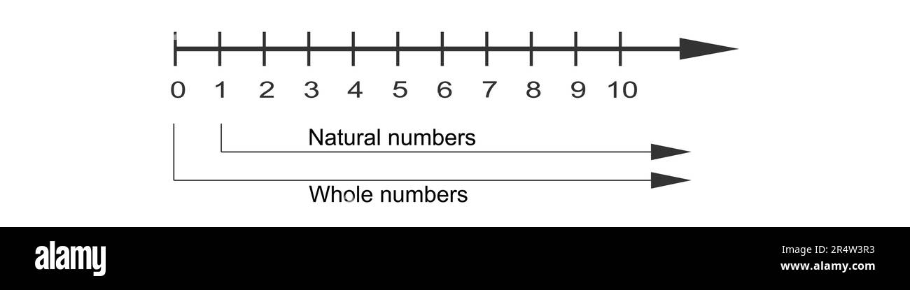 Ganzzahlen in Zahlenzeile mit positiven Zahlen und Null. Mathematikdiagramm für Additions- und Subtraktionsoperationen in der Schule isoliert auf weißem Hintergrund Stock Vektor
