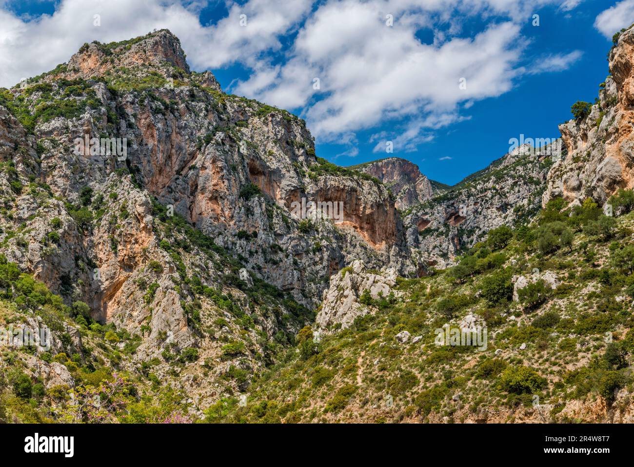 Parnon Massif (Parnonas Mtns), Aussichtspunkt Bella Vista, Dafnon River Canyon, Autobahn nach Kosmas, westlich von Leonidio, Arcadia, Region Peloponnes, Griechenland Stockfoto