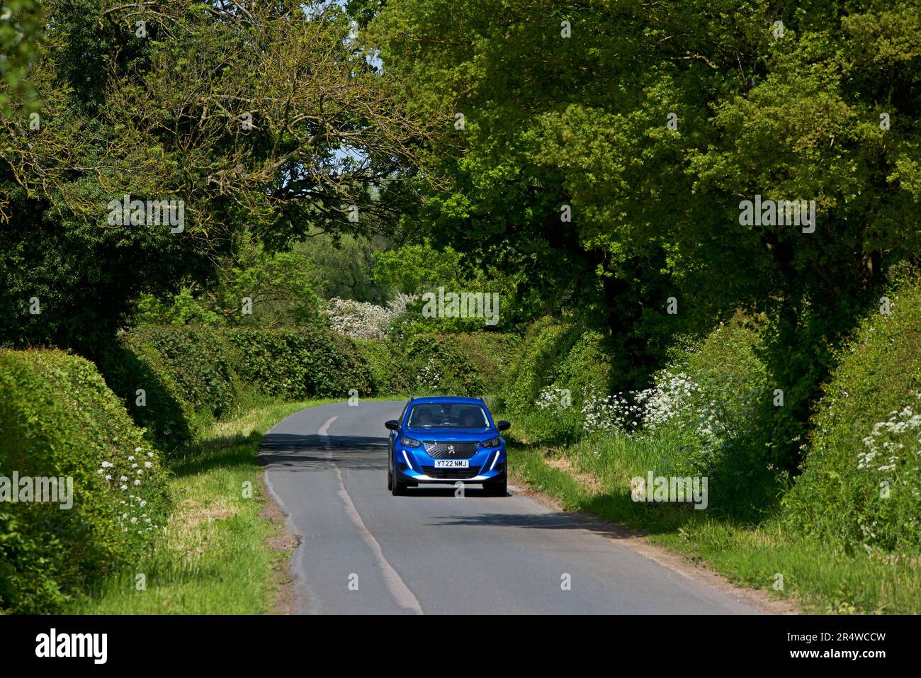 Fahrzeug auf Einspurbahn Breighton Road, East Yorkshire, England, Großbritannien Stockfoto