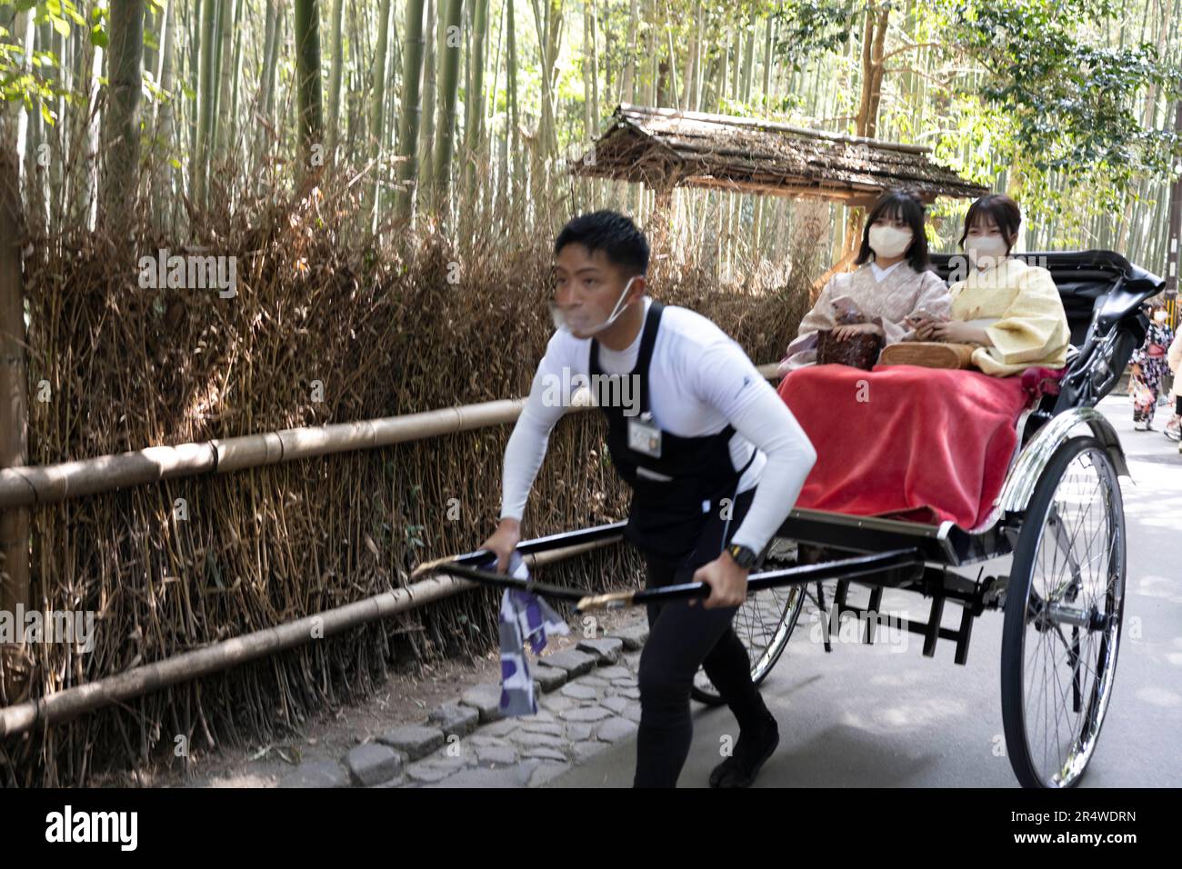 7. März 2023, Kyoto, Japan: Frauen åµå±± traditionellen japanischen Kimonos, die während des Urlaubs eine Fahrt von einer Rikscha in Arashiyama Bamboo Grove«¹æž – à å 径 machen. Auch bekannt als „der Bambuswald“, eine beliebte Touristenattraktion auf dem Gelände des heiligen Nonomiya-jinja-Schreins é‡Žå® c žç¤¾...Kyoto (䰬都) ist eine historische Großstadt Japans, reich an kulturellem Erbe und traditionellem Charme. Bekannt für seine berühmten Tempel, malerischen Gärten und historischen Wahrzeichen wie Kinkaku-ji und Fushimi Inari Taisha, bietet Kyoto einen Einblick in Japans Vergangenheit. Seine lebhaften Festivals, exquisite Küche und ser Stockfoto
