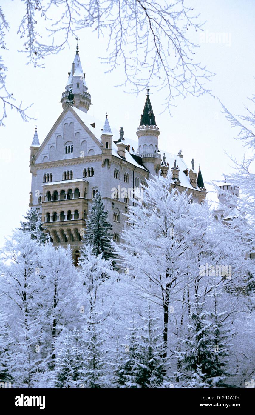 Deutschland. Bayern. Schloss Neuschwanstein im Schnee. Stockfoto