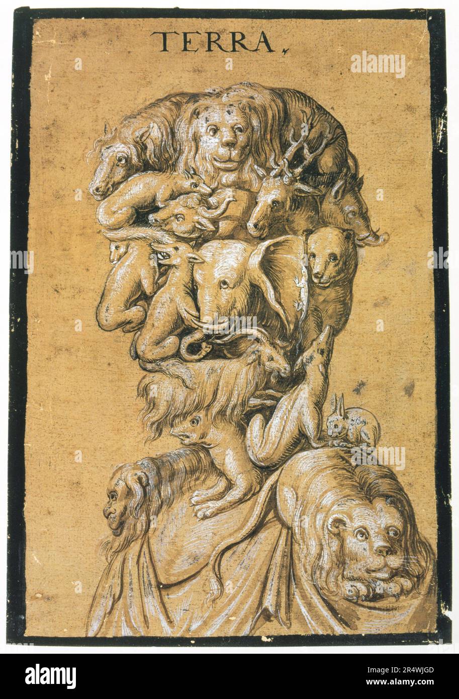 Anonyme „Erde“ (groteske Kopf- und Schulterpartie, bestehend aus allen Arten von Tieren) C1600 Tempera in Braun und Weiß auf getöntem Papier Private Collection Stockfoto