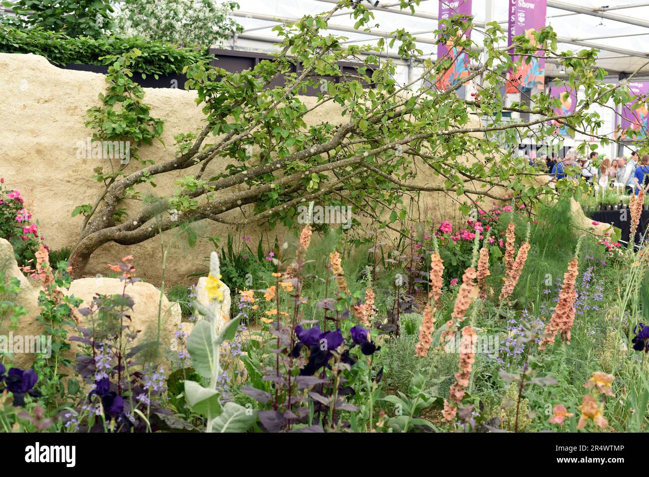 The Choose Love Show Garden auf der RHS Chelsea 2023 Foto Nummer 4045 Stockfoto