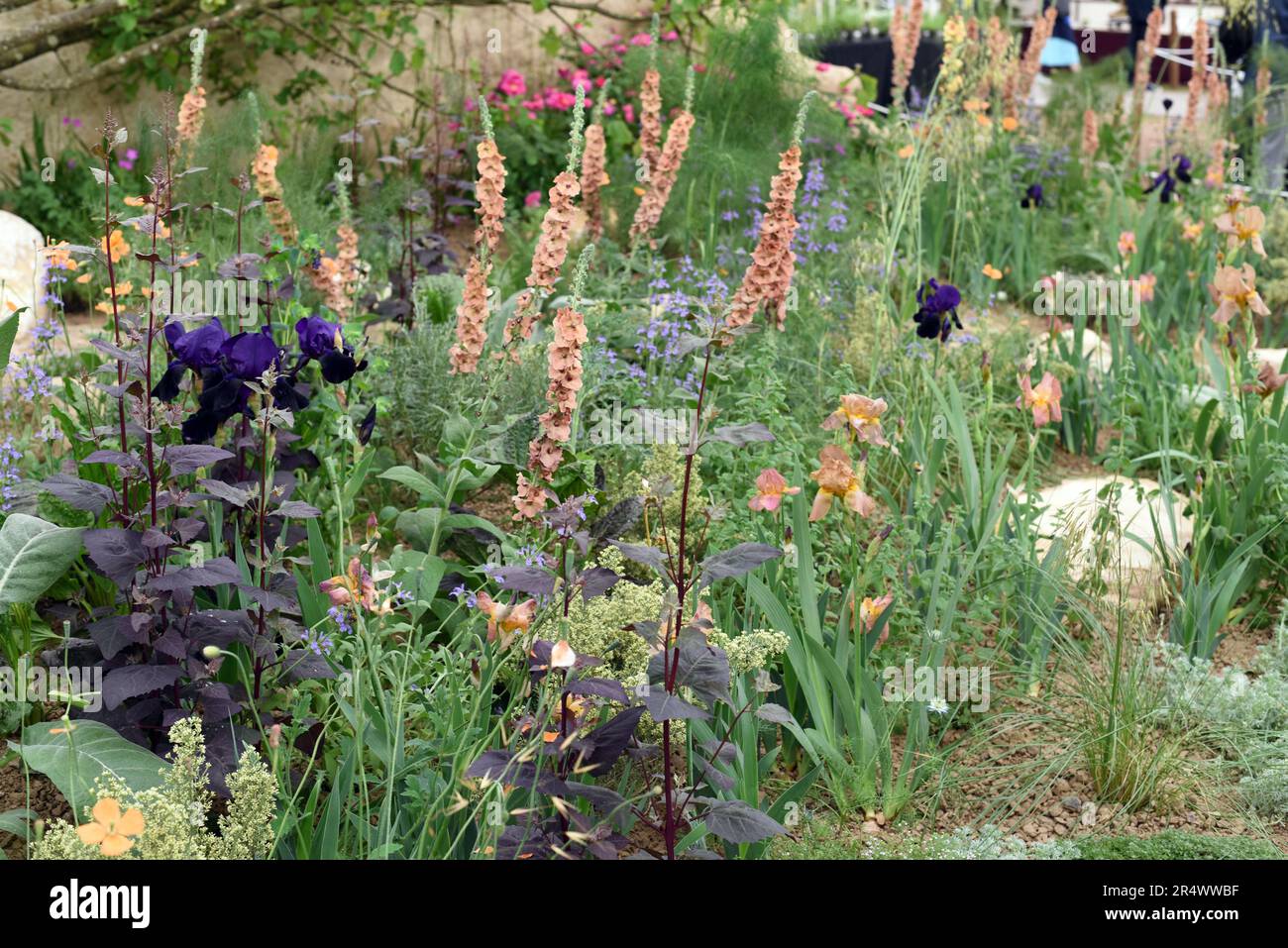 Der Choose Love Show Garden auf der RHS Chelsea 2023, Foto 4052 Stockfoto