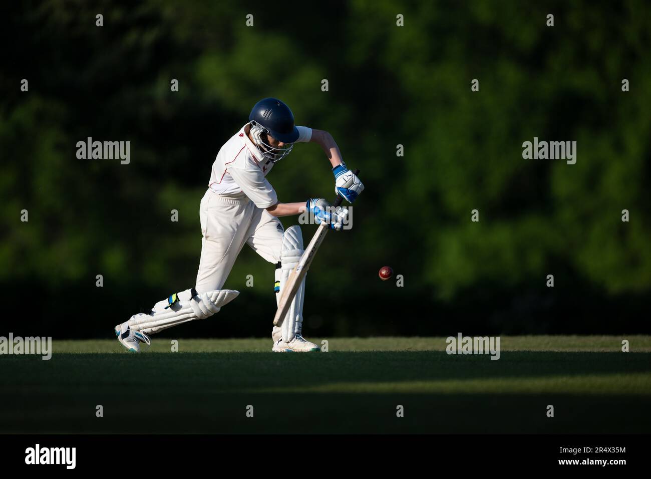 Cricket-Batsman trifft vier Läufe. Stockfoto