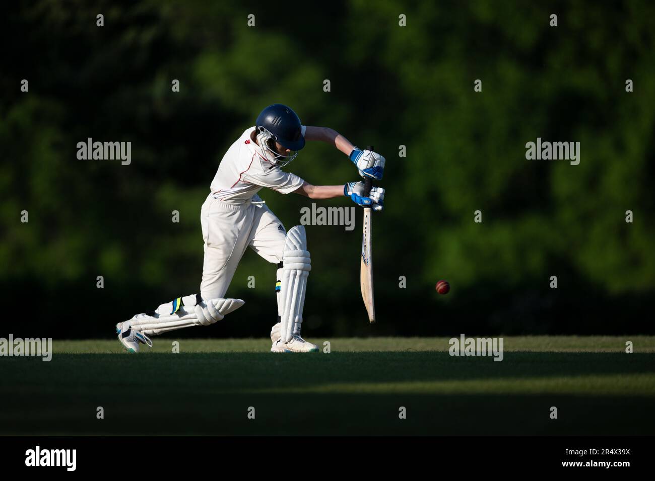 Cricket-Batsman trifft vier Läufe. Stockfoto