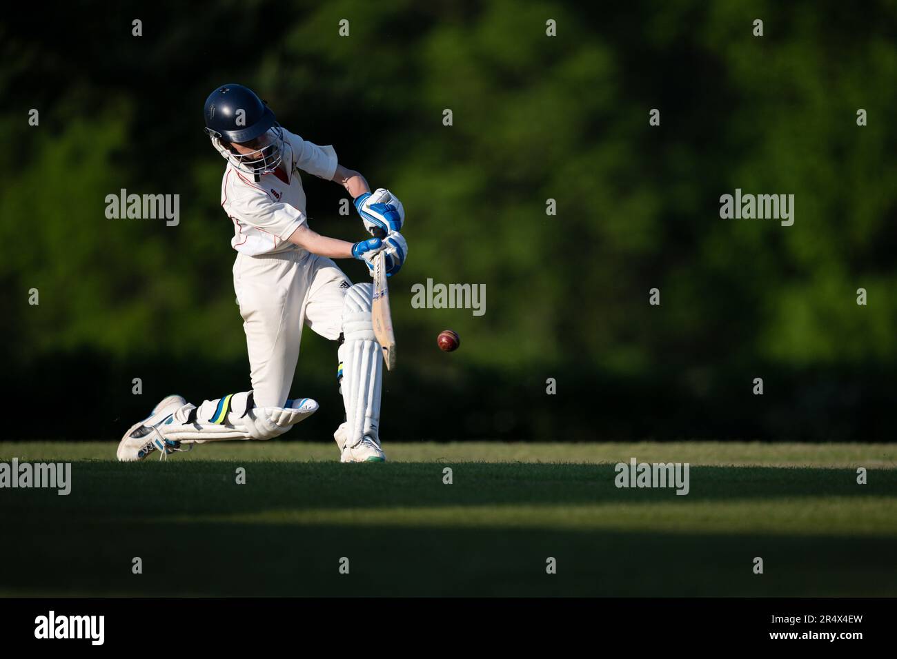 Cricket-Batsman trifft vier Läufe. Stockfoto