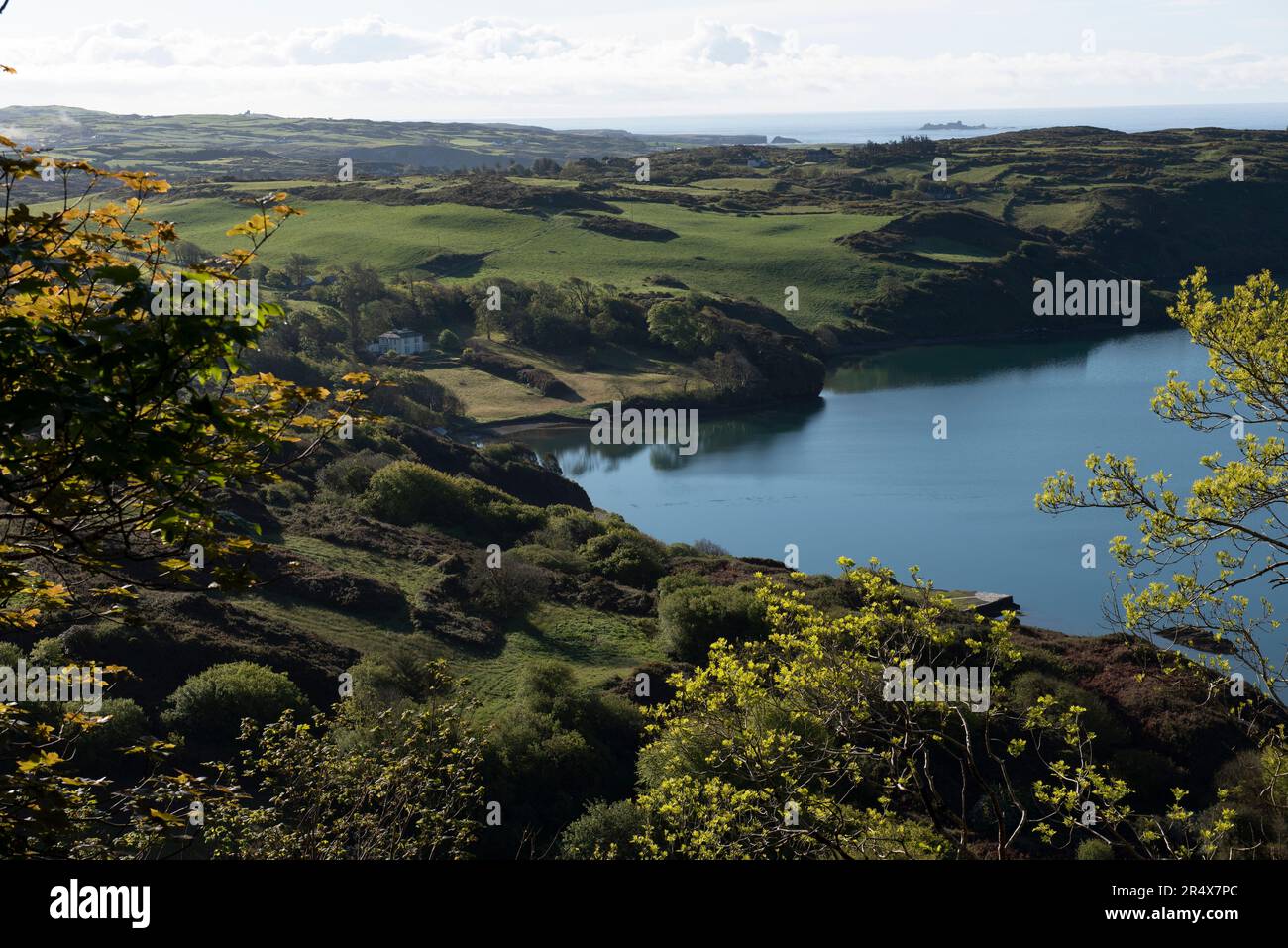 Malerischer Blick auf die Hügel und das Ackerland rund um Lough Hyne im Knockomagh Wood; Baltimore, West Cork, Irland Stockfoto