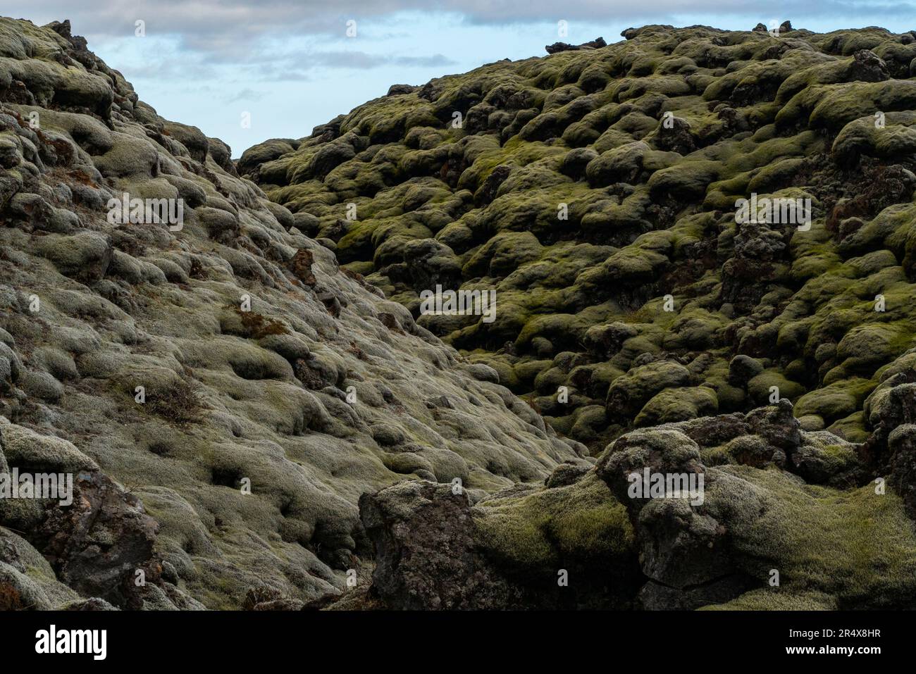 Geheimnisvolle und künstlerische Muster eines moosbedeckten Lavafeldes in Island; Süd-Island, Island Stockfoto