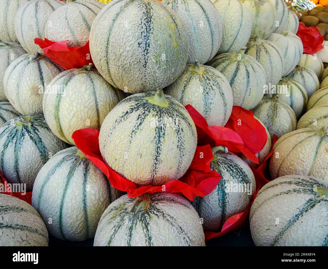 Nahaufnahme Obst-/Essensmuster von Cucumis melo „Ogen“ auf einem Marktstand in Paris mit roten Papiertrennern. Saftig und süß Stockfoto