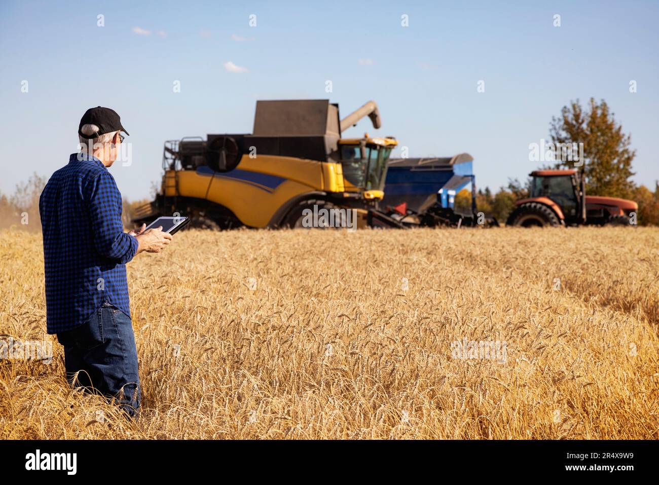 Landwirt, der seine Getreideernte mit einer Tablette verwaltet, wobei Erntemaschinen im Hintergrund arbeiten; Alcomdale, Alberta, Kanada Stockfoto