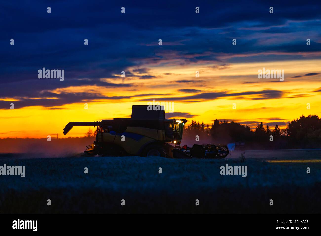 Mähdrescher bei der Arbeit ernten ein Weizenfeld bei Sonnenuntergang; Alcomdale, Alberta, Kanada Stockfoto