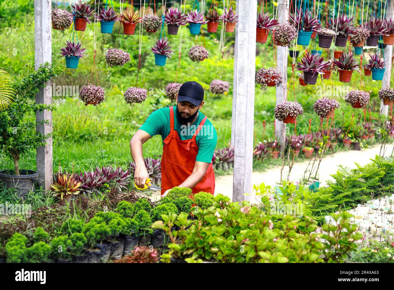 Glücklicher, reifer Mann, der stolz auf seine Blumen ist, während er in der Baumschule arbeitet. Blumenladen-Kindermädchen arbeiten. Blick auf einen jungen attraktiven Mann Stockfoto