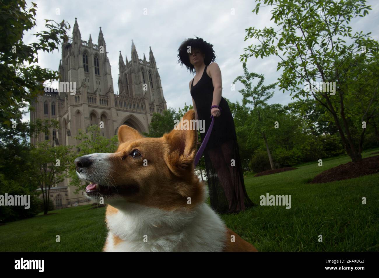 Junge Frau und ein Hund vor der Washington National Cathedral in Washington, DC, USA; Washington, District of Columbia, Vereinigte Staaten von Amerika Stockfoto